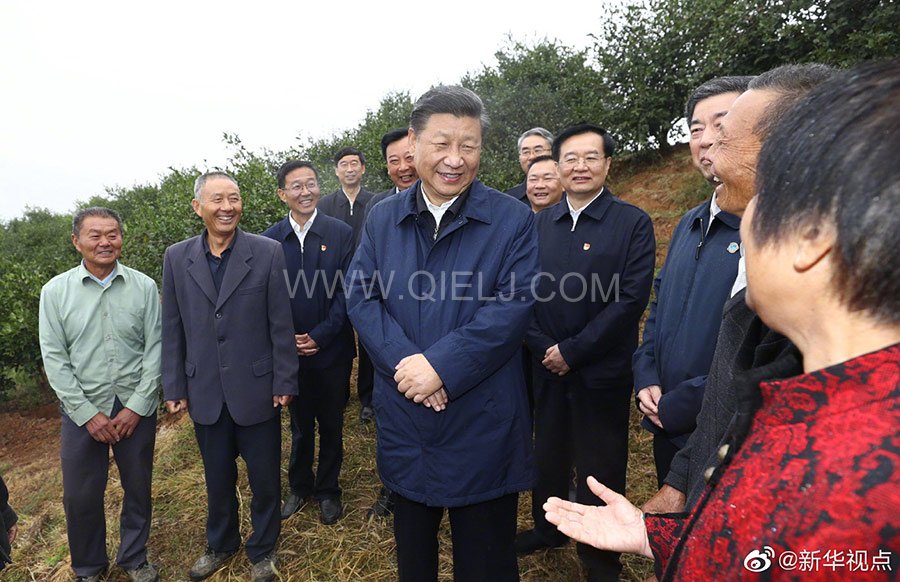 光山油茶籽榨油設(shè)備，山茶籽油榨油機廠家(圖2)