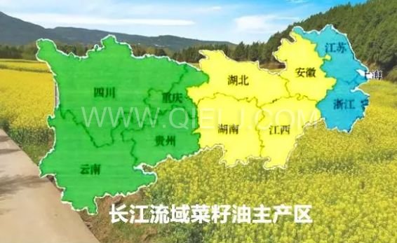 濃香菜籽油成套設(shè)備，企鵝糧油機(jī)械品質(zhì)出眾(圖1)
