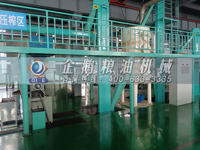 企鵝牌茶籽油雙螺桿榨油機(jī)，用心制造獲得客戶認(rèn)可(圖2)